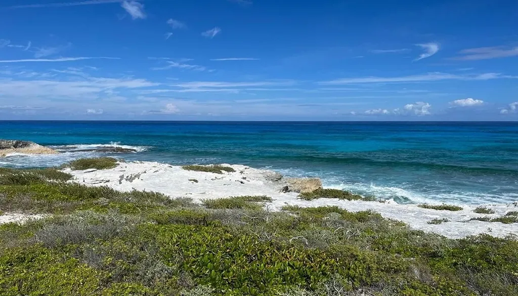 Oceanview Lot 1b, Millers Long Island BS — photo 3