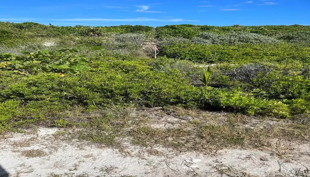 Oceanview Lot 1b, Millers Long Island BS — photo 6