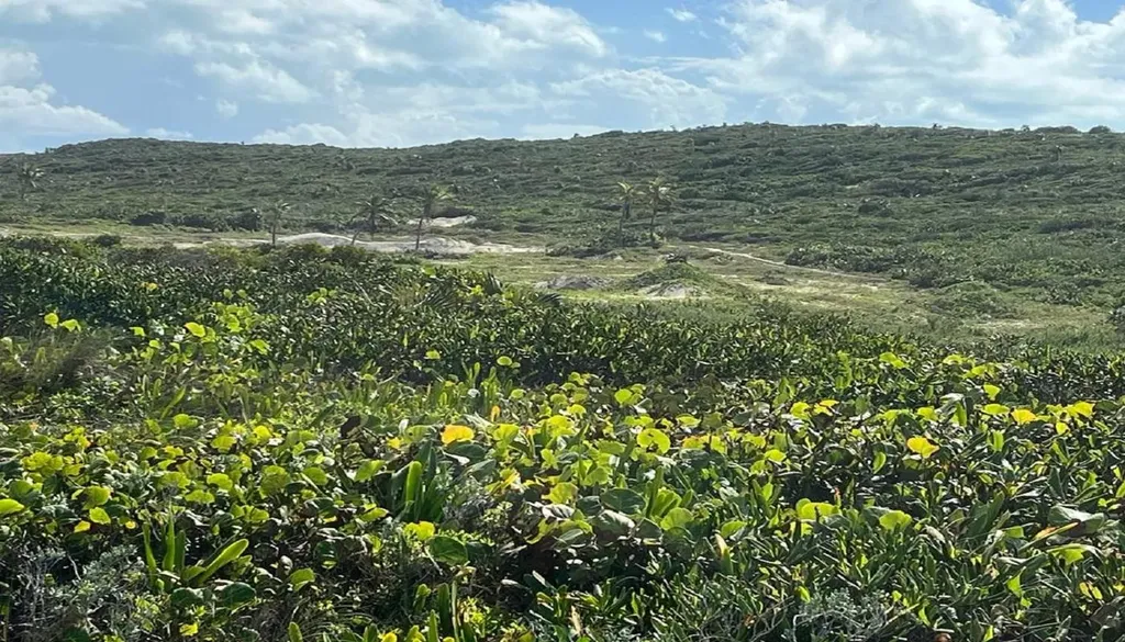 Oceanview Lot 1b, Millers Long Island BS — photo 9