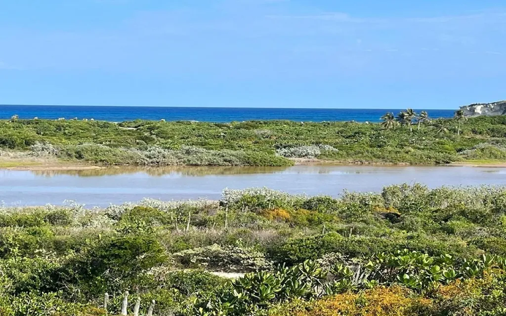 Oceanview Lot 1, Millers Long Island BS — photo 12