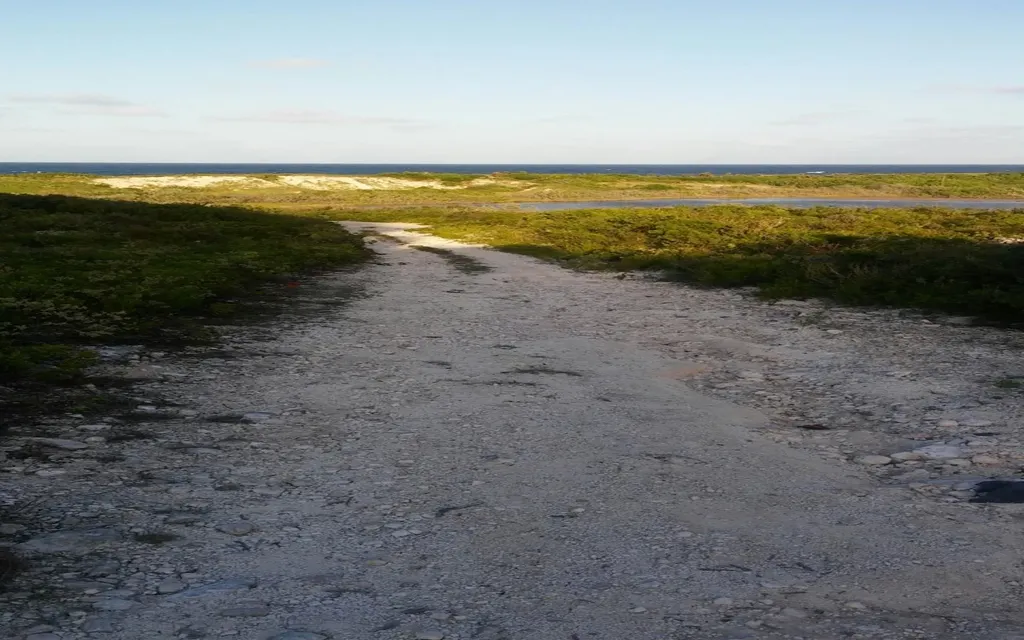 Oceanview Lot 1, Millers Long Island BS — photo 3