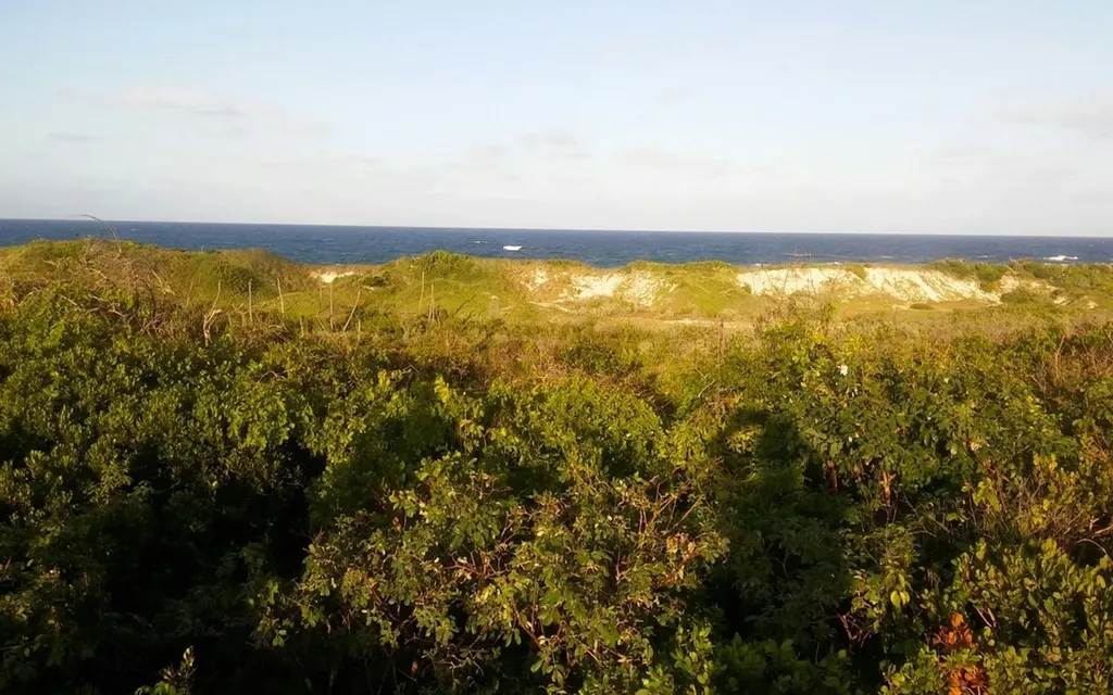 Oceanview Lot 1, Millers Long Island BS — photo 4