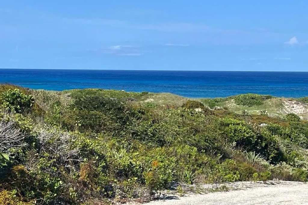 Oceanview Lot 1, Millers Long Island BS — photo 7