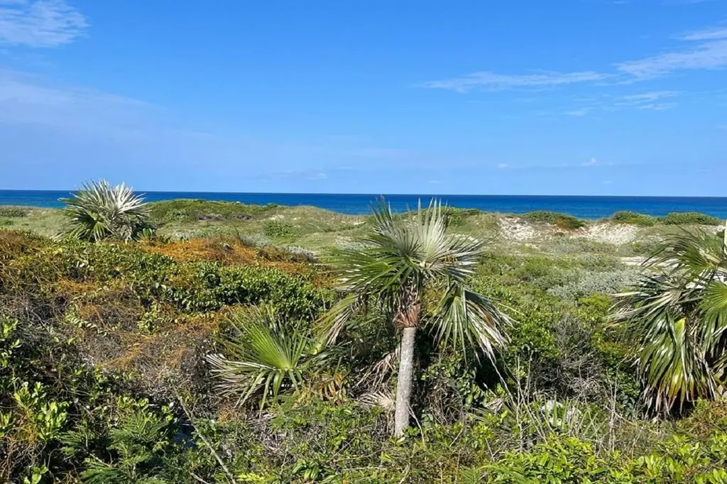 Oceanview Lot 1, Millers Long Island BS — photo 8