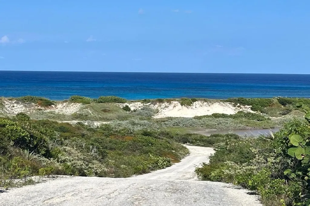 Oceanview Lot 1, Millers Long Island BS — photo 9