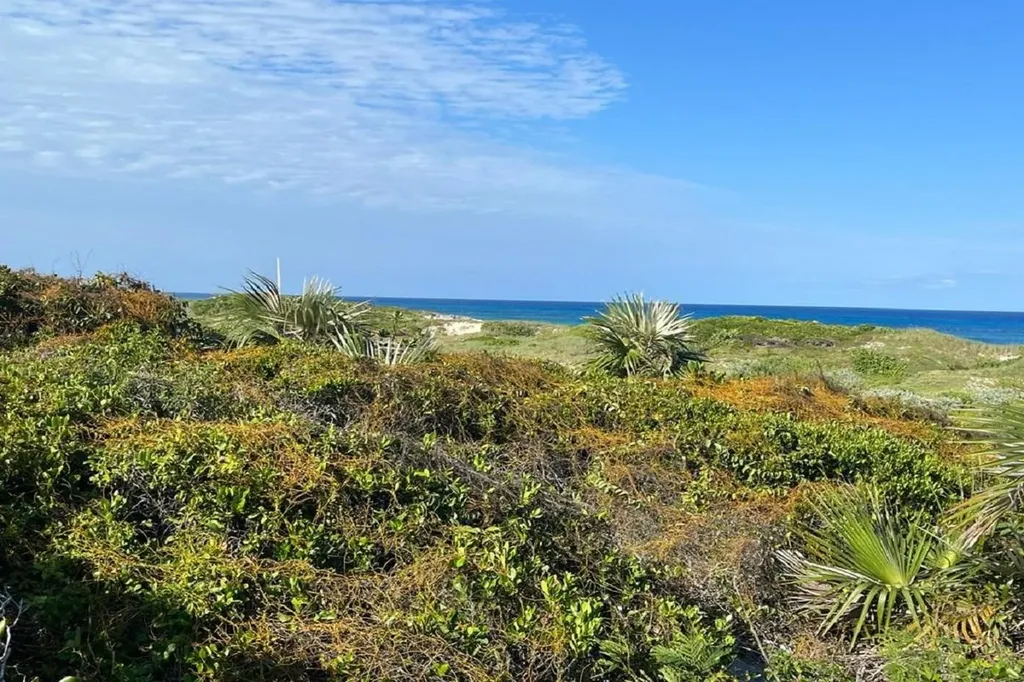 Oceanview Lot 1, Millers Long Island BS — photo 10