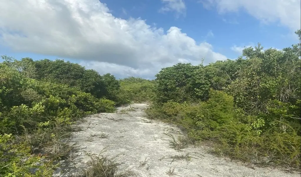 Lot 9, Columbus Landing 4 San Salvador BS — photo 4