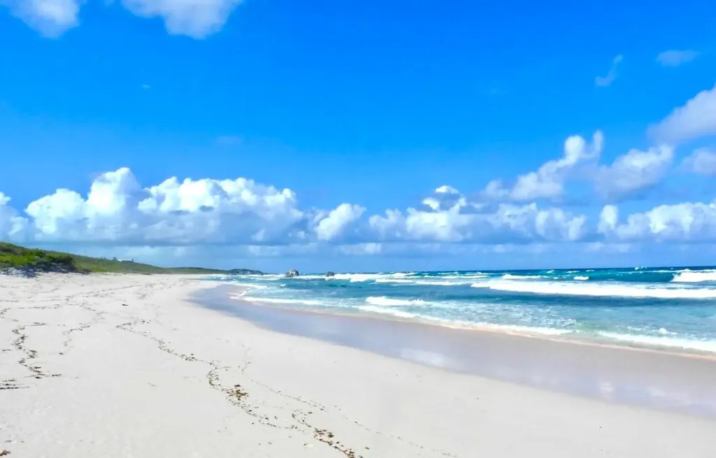 3.67 Acre With Beachfront Long Island BS — photo 3