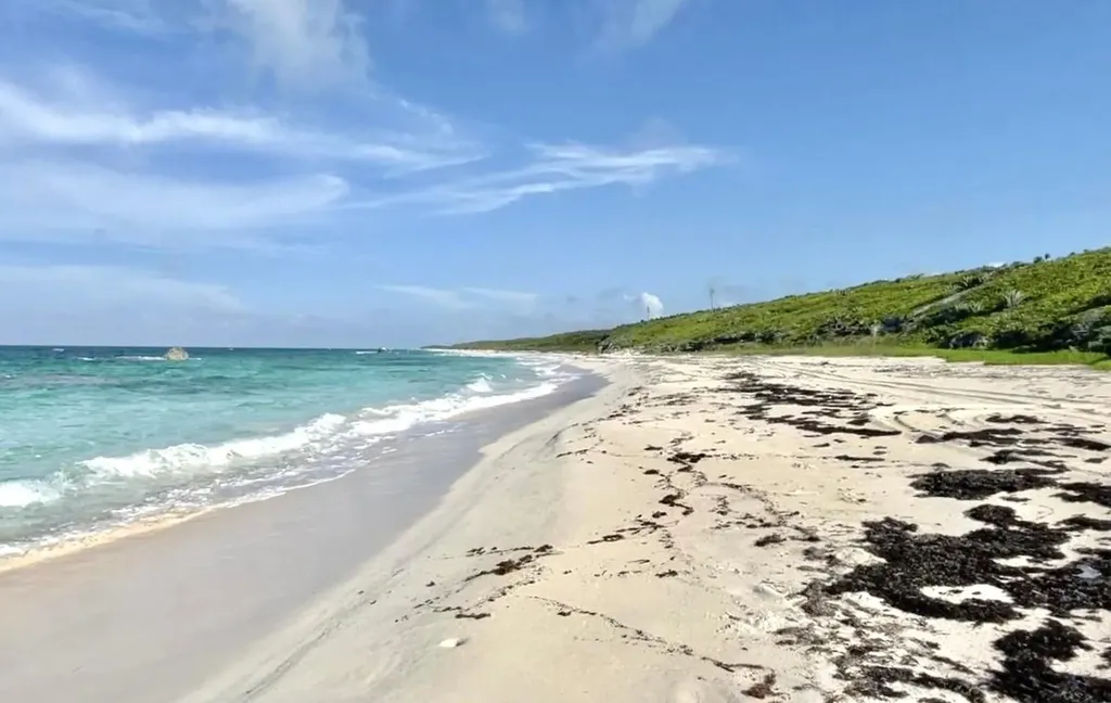 3.67 Acre With Beachfront Long Island BS — photo 4