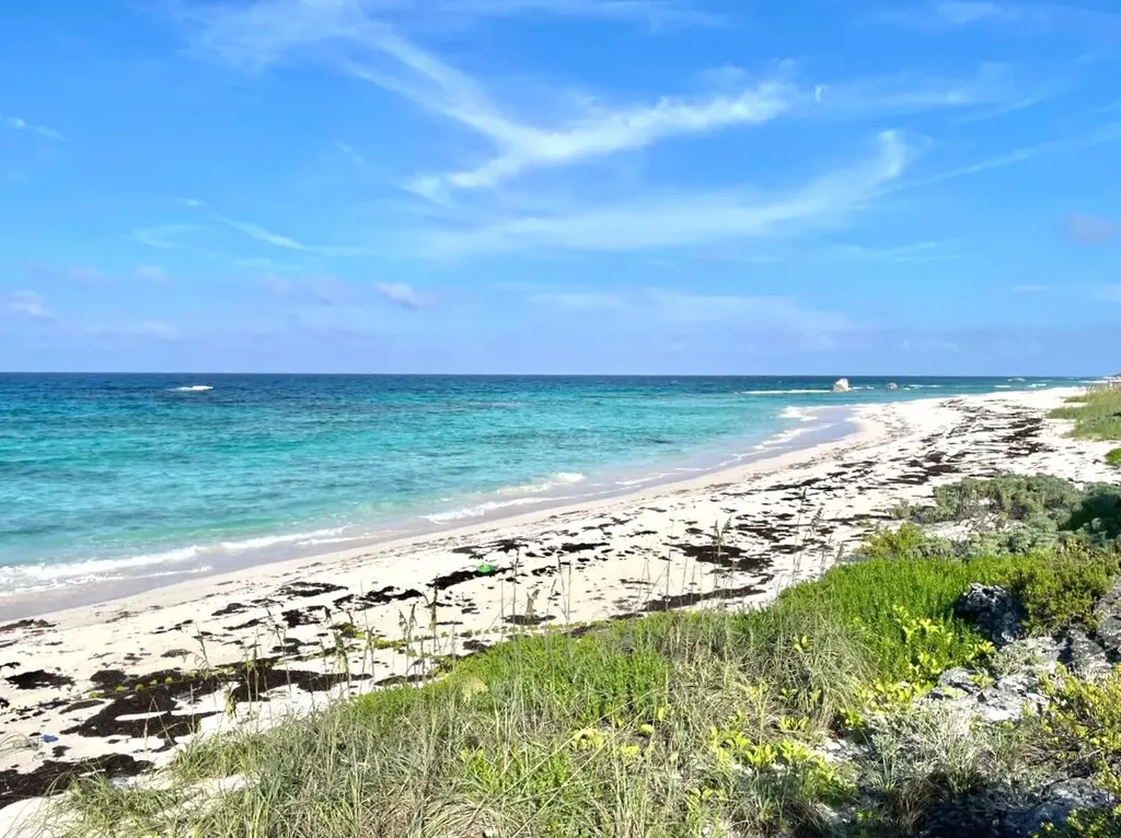 3.67 Acre With Beachfront Long Island BS — photo 6