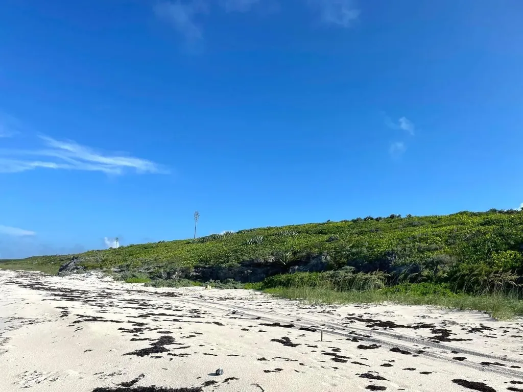 3.67 Acre With Beachfront Long Island BS — photo 10