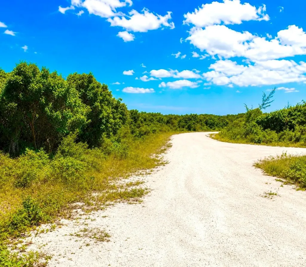 Rum Cay 225 Acres Rum Cay BS — photo 9