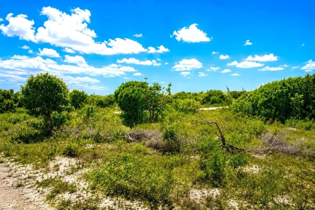 Rum Cay 225 Acres Rum Cay BS — photo 10