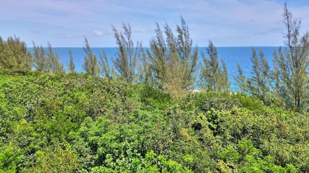 Lot A1, Bay Shore Road Abaco BS — photo 8