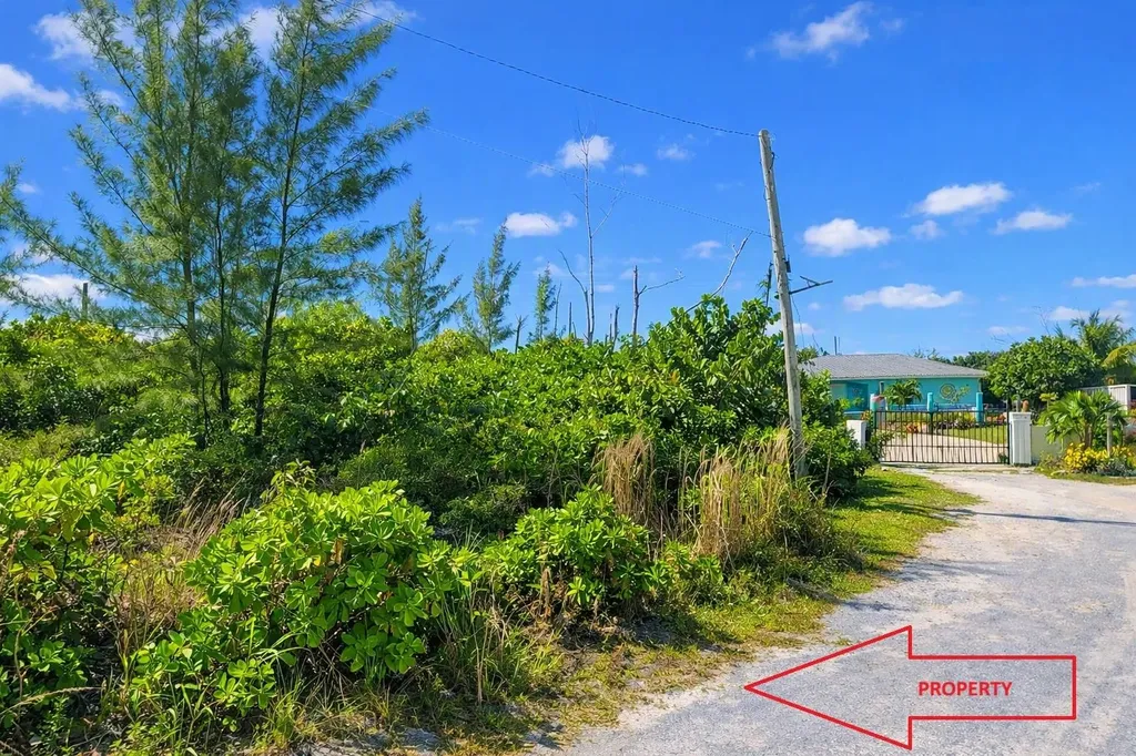 Treasure Cay Road Abaco BS — photo 3