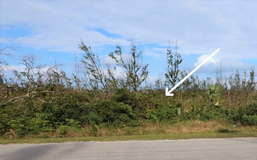 Lot 18 Blackwood Abaco BS — photo 2