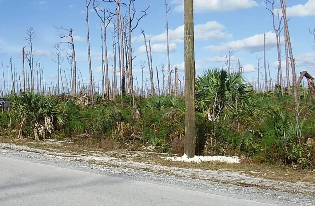 Lot 18 Blackwood Abaco BS — photo 3