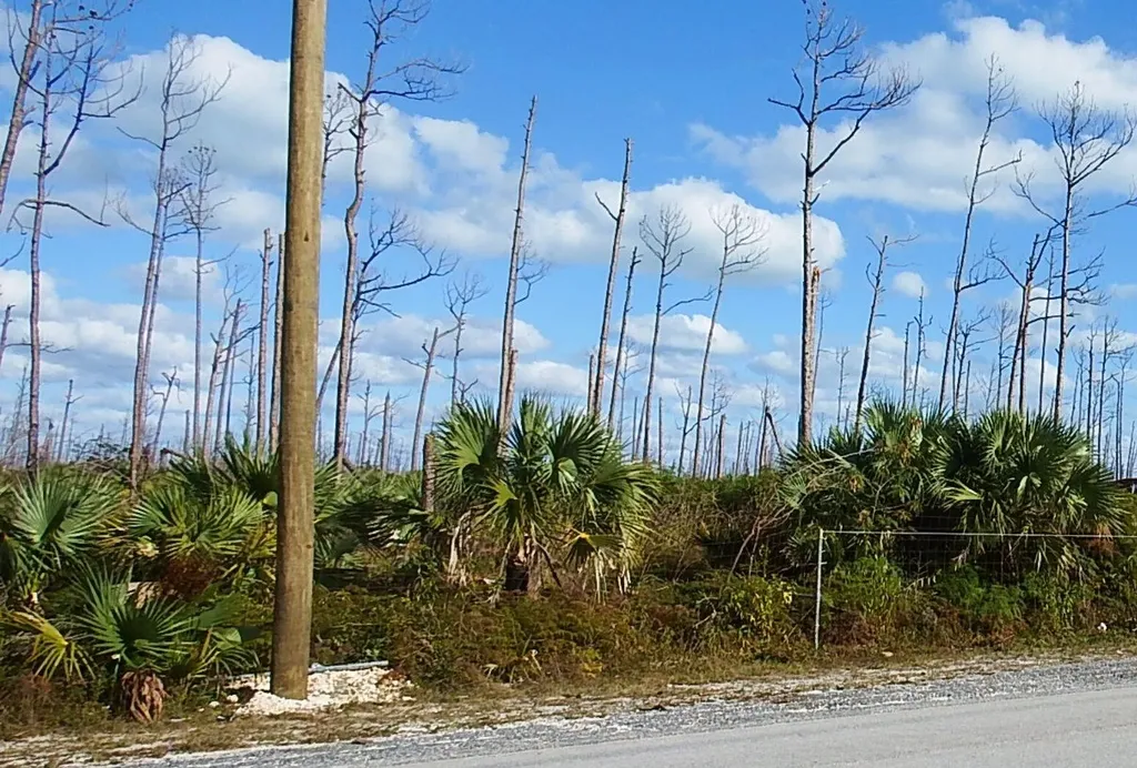 Lot 18 Blackwood Abaco BS — photo 4