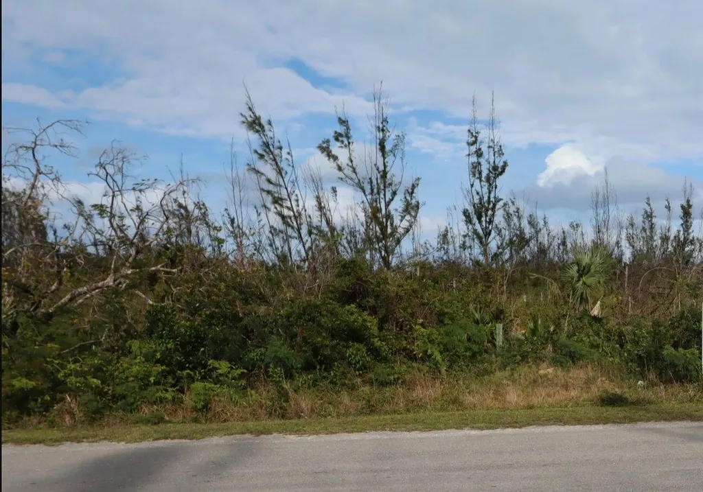 Lot 18 Blackwood Abaco BS — photo 5