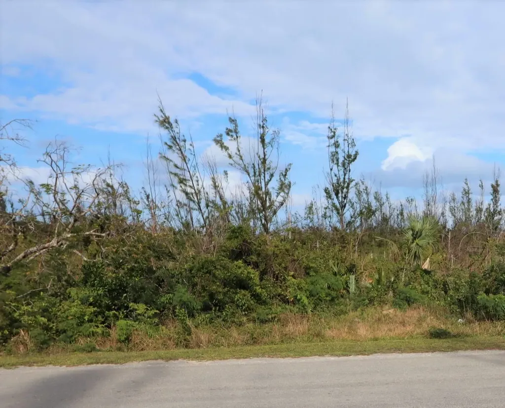 Lot 18 Blackwood Abaco BS — photo 6