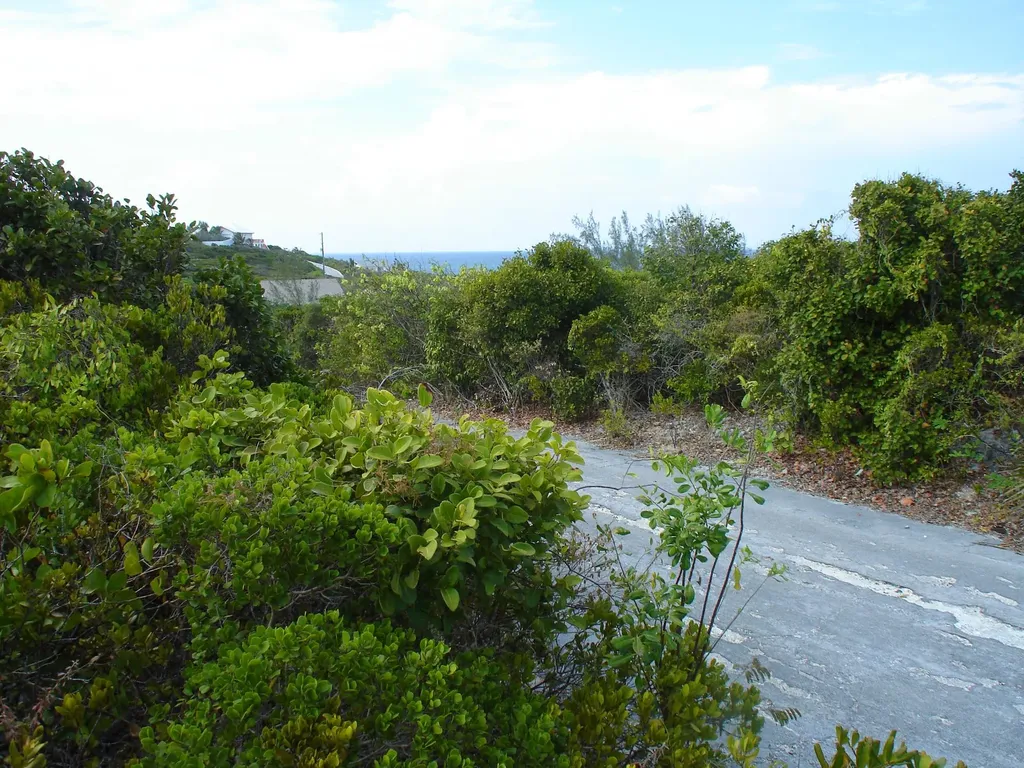 Lot 264 Stella Maris Long Island BS — photo 3