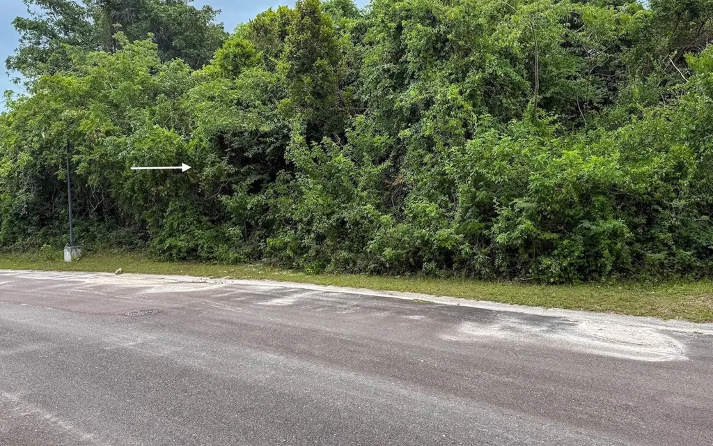 Lot 103, Lyford Hills New Providence Paradise Island BS — photo 3