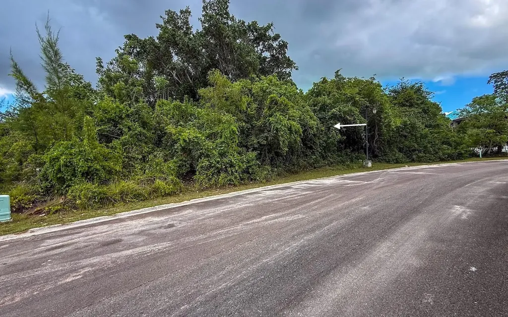 Lot 103, Lyford Hills New Providence Paradise Island BS — photo 5