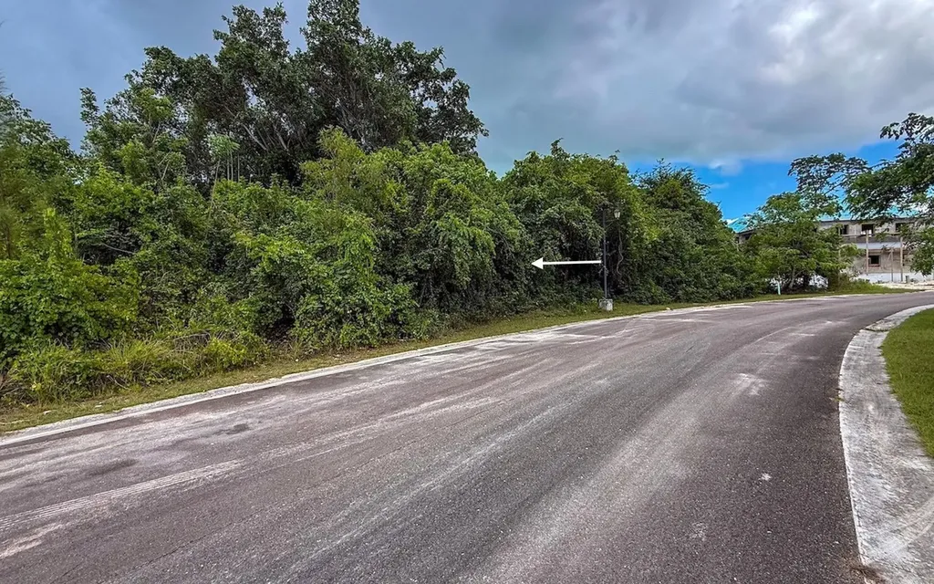 Lot 103, Lyford Hills New Providence Paradise Island BS — photo 6