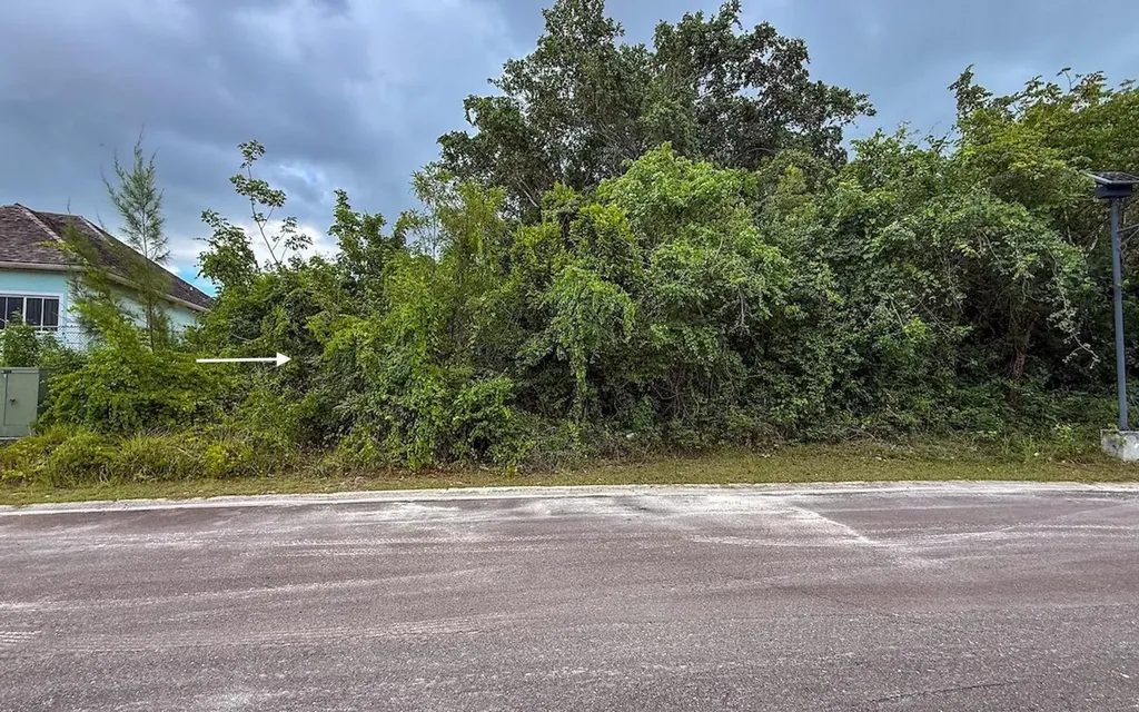 Lot 103, Lyford Hills New Providence Paradise Island BS — photo 7