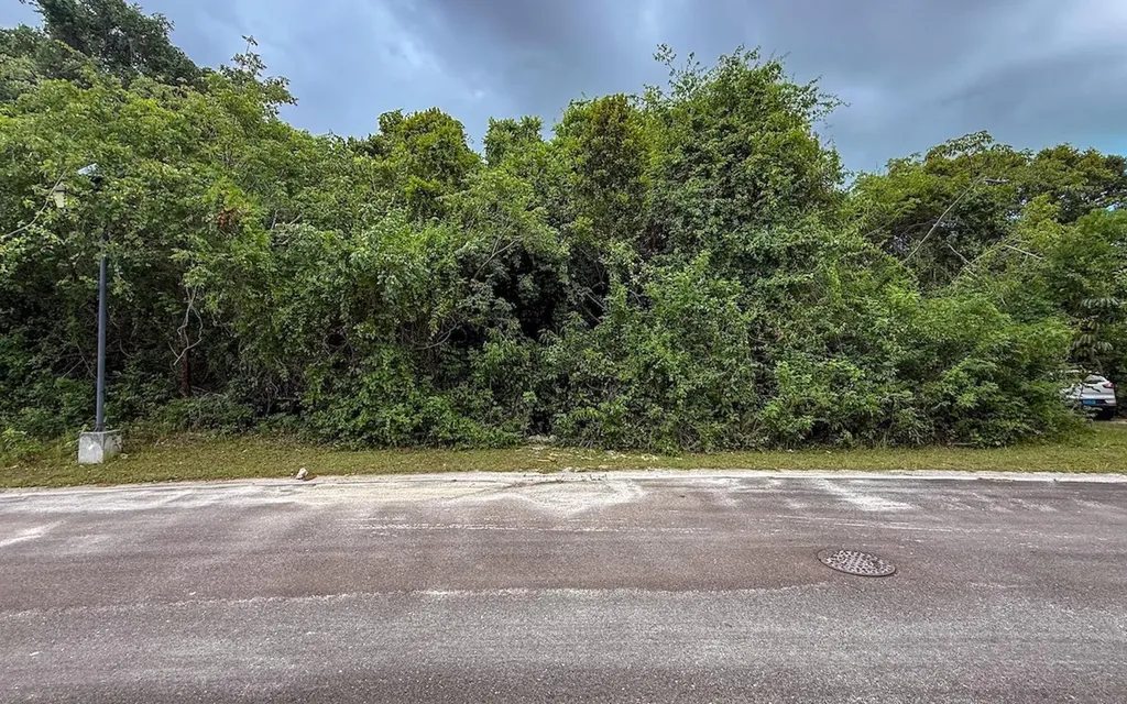Lot 103, Lyford Hills New Providence Paradise Island BS — photo 8