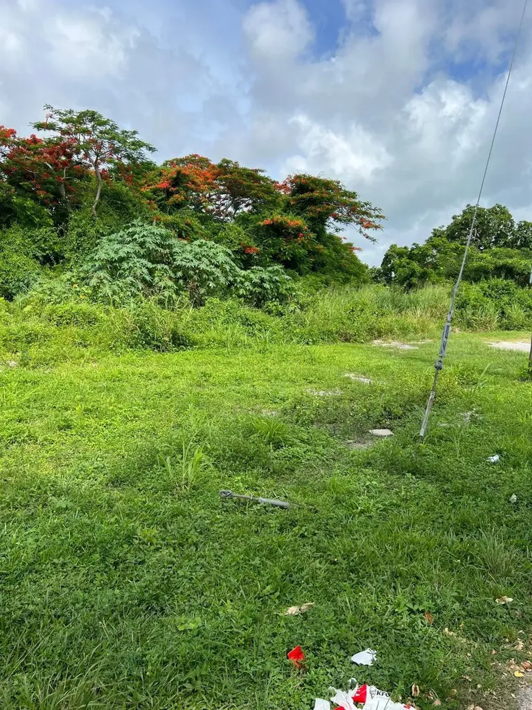 Davis Street And Hawthorn Lot 30 New Providence Paradise Island BS — photo 3