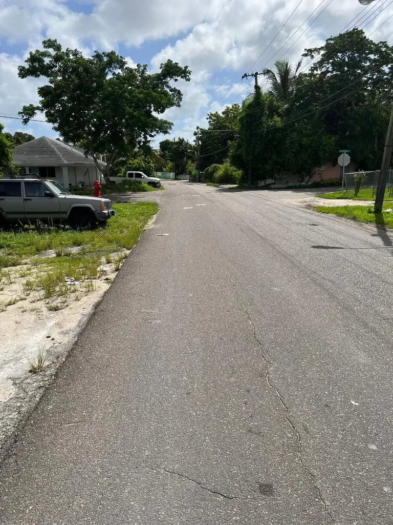 Davis Street And Hawthorn Lot 30 New Providence Paradise Island BS — photo 5