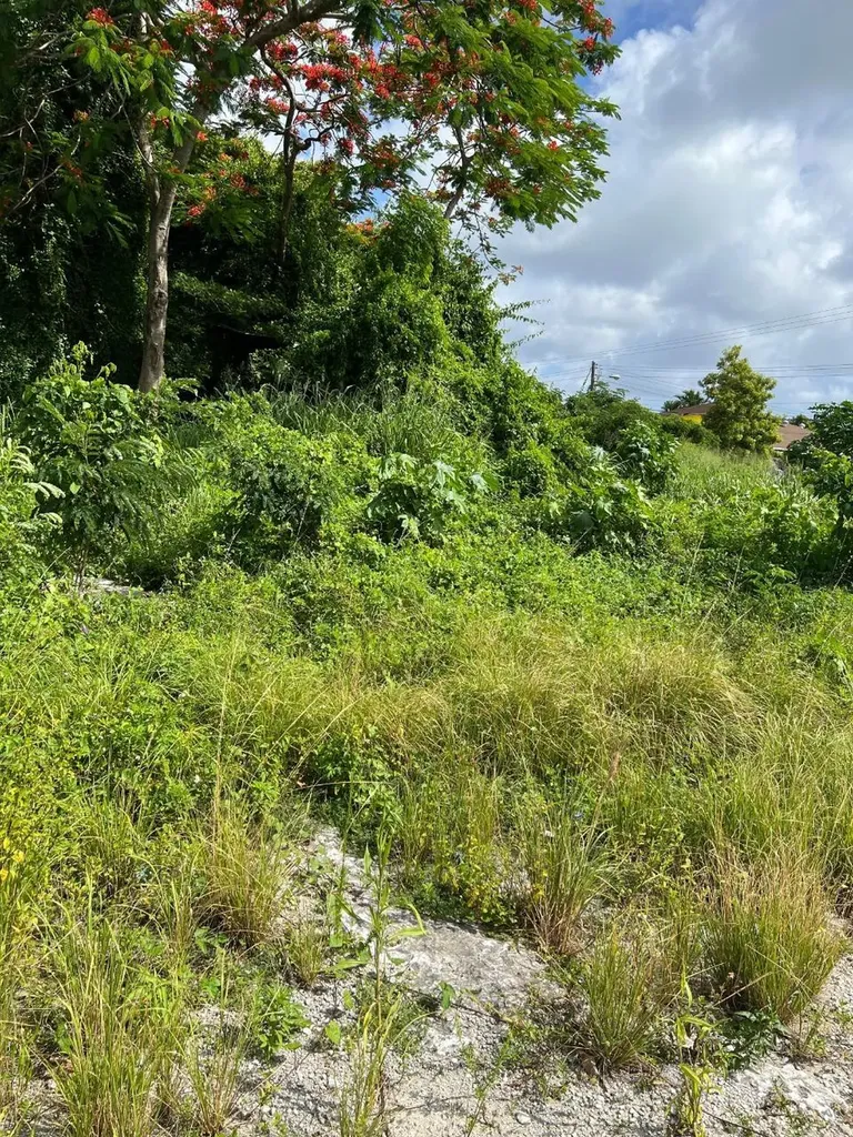 Davis Street And Hawthorn Lot 30 New Providence Paradise Island BS — photo 6