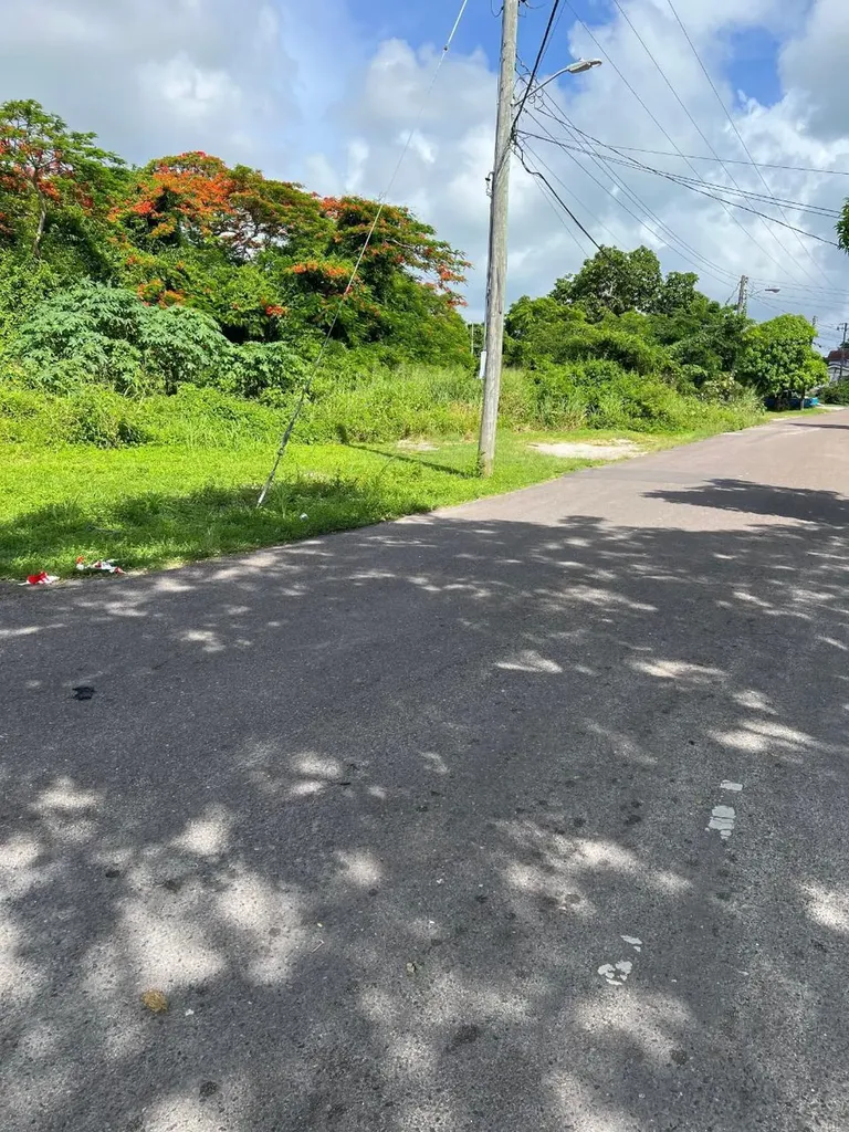 Davis Street And Hawthorn Lot 30 New Providence Paradise Island BS — photo 7