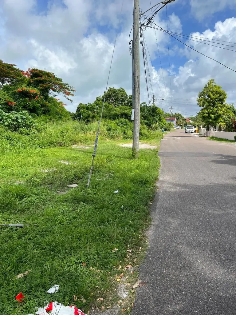 Davis Street And Hawthorn Lot 30 New Providence Paradise Island BS — photo 8