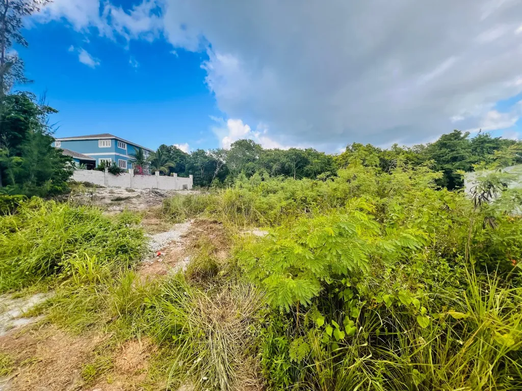 West Winds Sea Shell Circle New Providence Paradise Island BS — photo 4