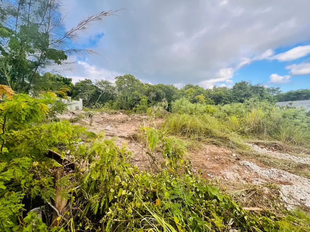 West Winds Sea Shell Circle New Providence Paradise Island BS — photo 5