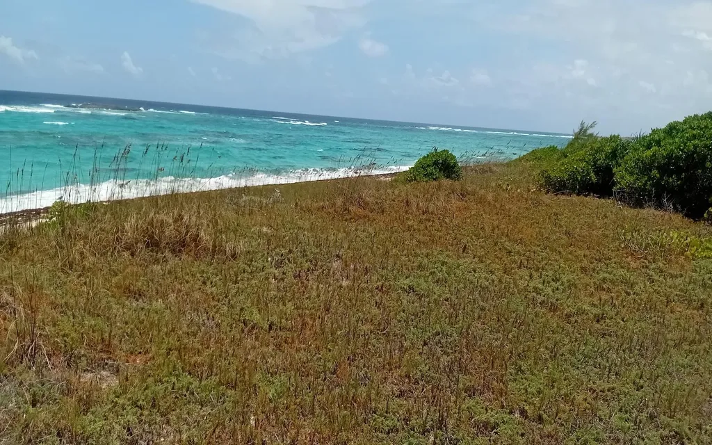 Morrisville Beachfront Long Island BS — photo 4