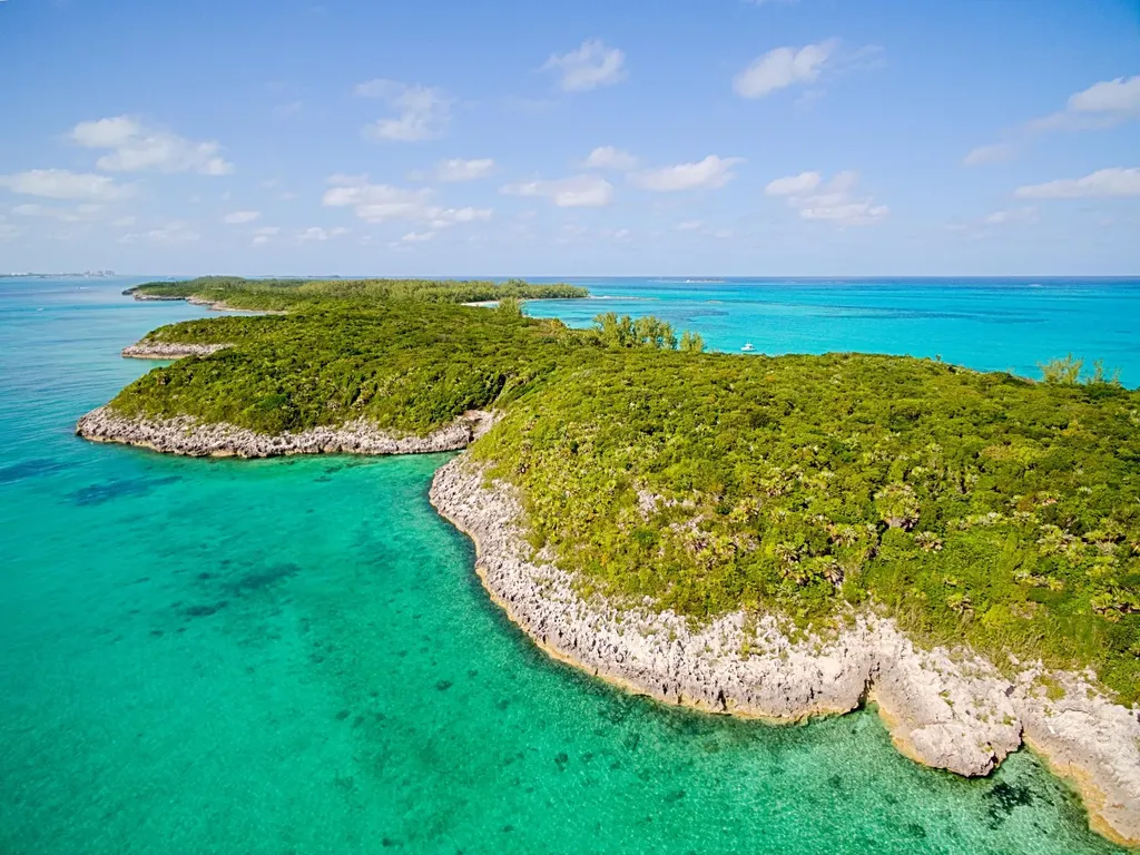 Rose Island Rose Island BS — photo 11
