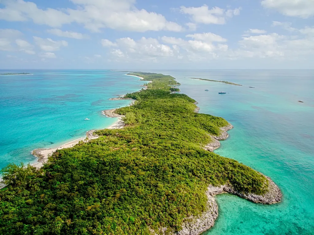 Rose Island Rose Island BS — photo 9