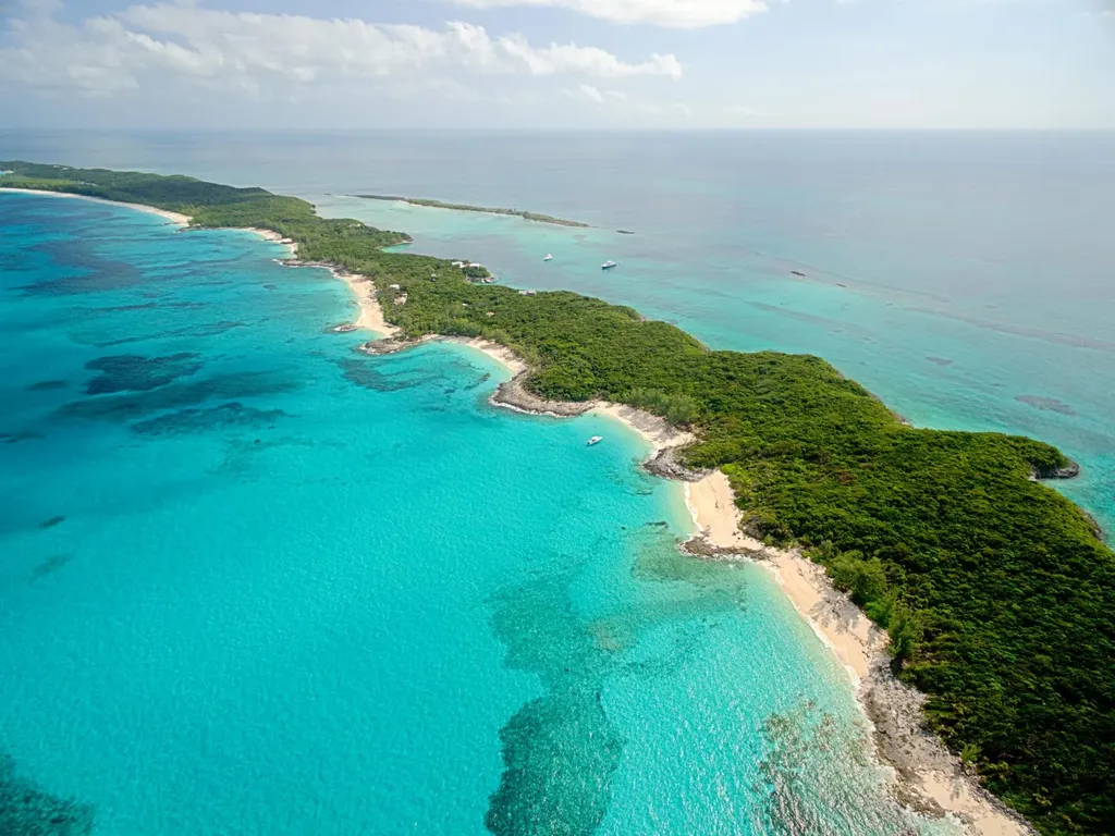 Rose Island Rose Island BS — photo 10