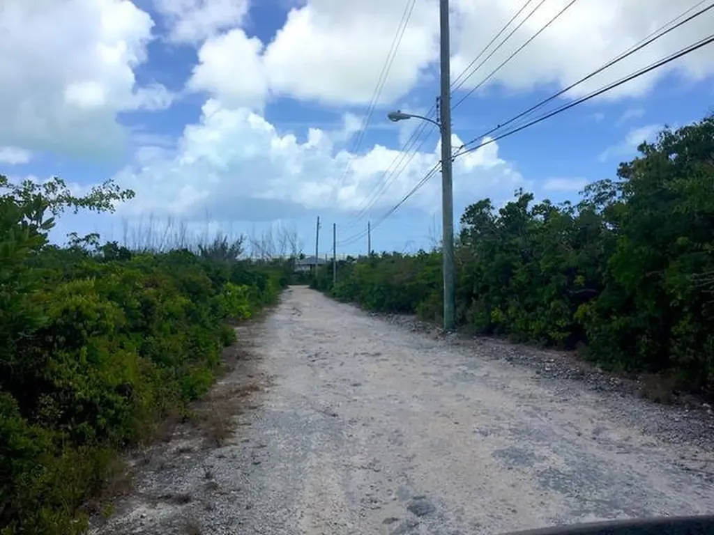 Petty's Roadfront Parcel Long Island BS — photo 4