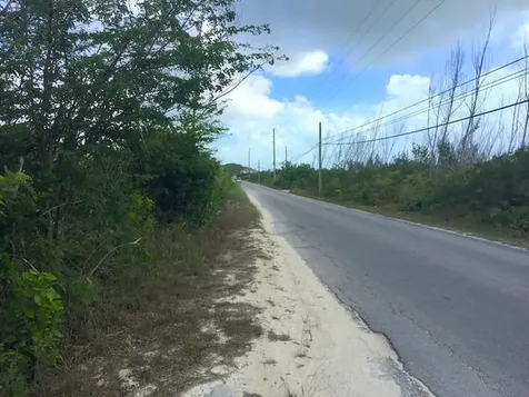 Petty's Roadfront Parcel Long Island BS — photo 8