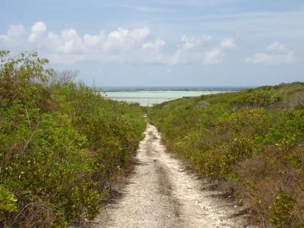 Petty's - 4.11 Acre Lot Long Island BS — photo 3