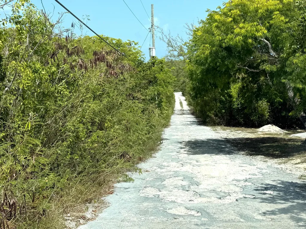 Lot 13 Phase A Long Island BS — photo 3