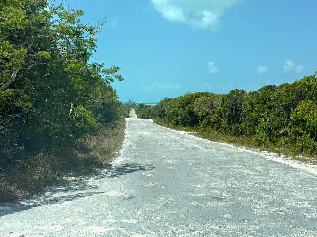Lot 13 Phase A Long Island BS — photo 4