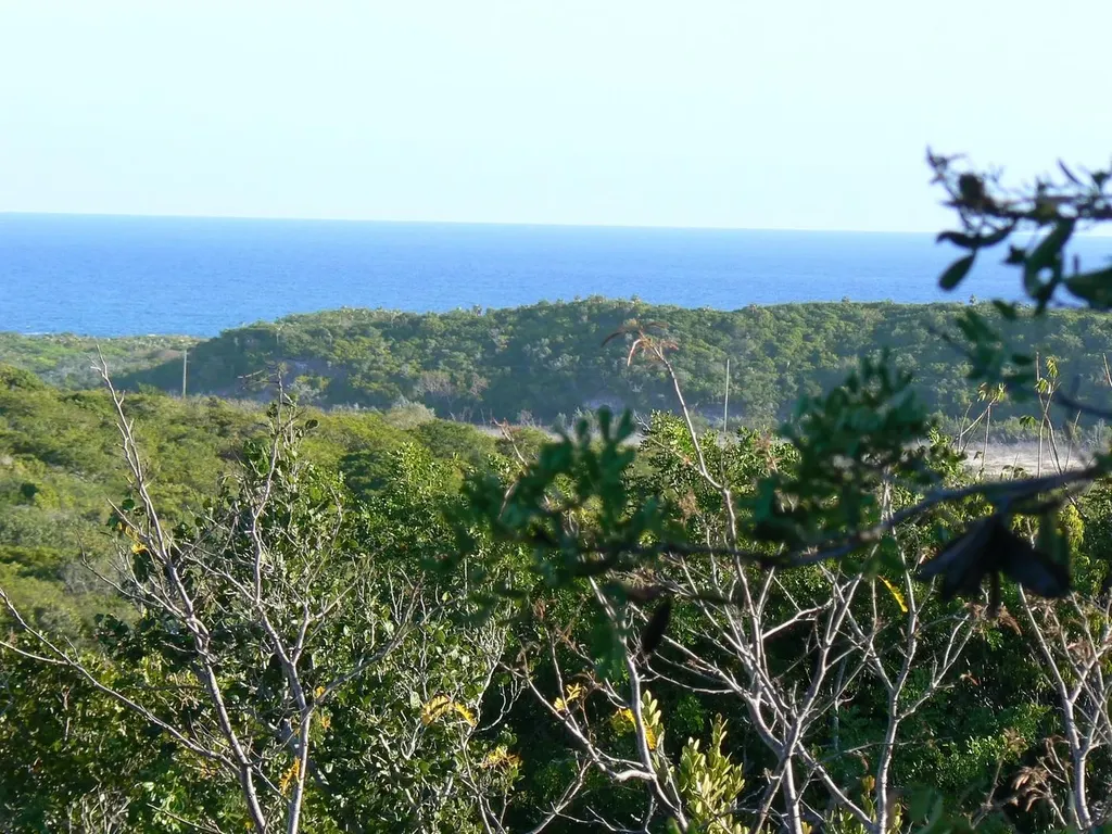 Line Bay Subdivison Long Island BS — photo 3