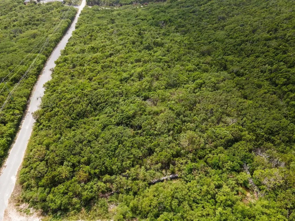 Scrub Hill, Long Island Long Island BS — photo 6