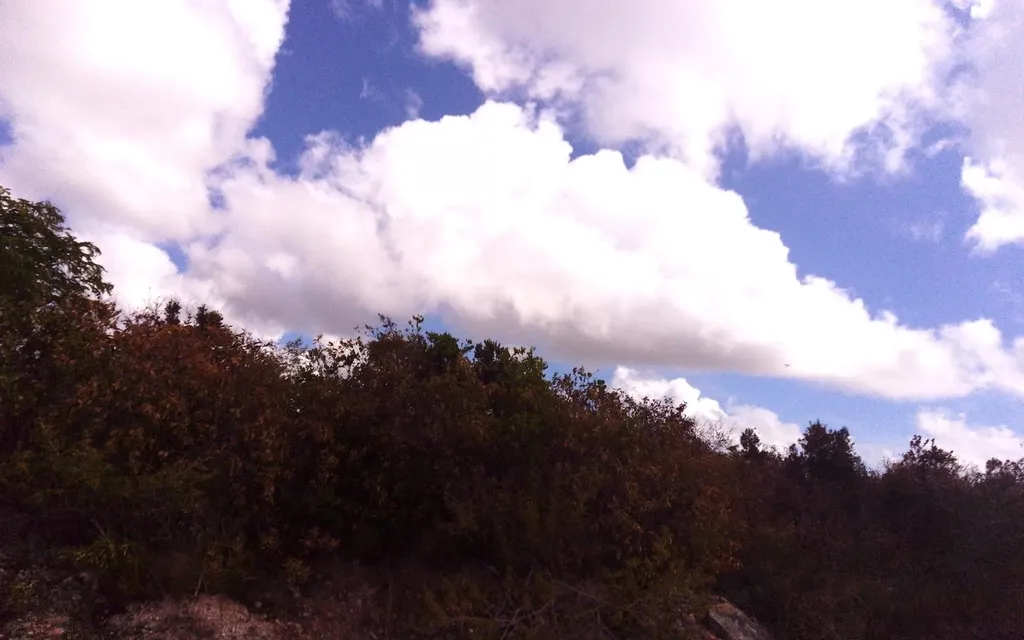 Columbus Landing Lot 13 San Salvador BS — photo 3