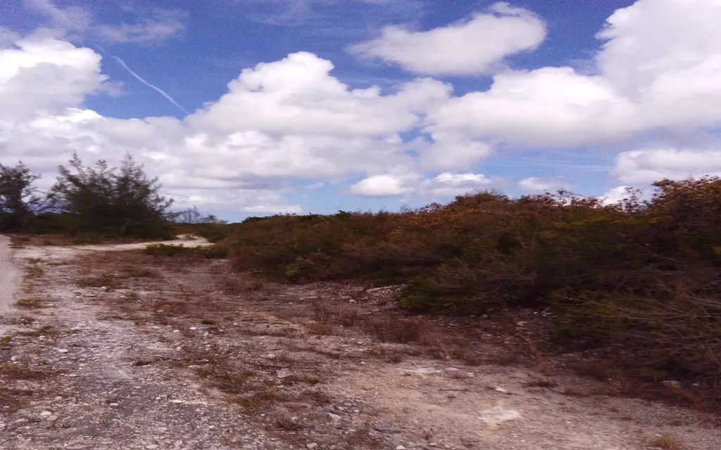 Columbus Landing Lot 13 San Salvador BS — photo 4